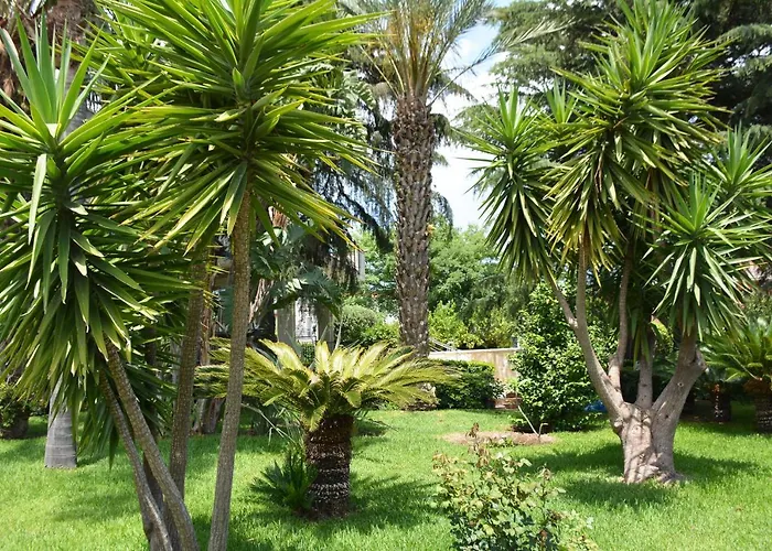 Triskelion * Nunziata